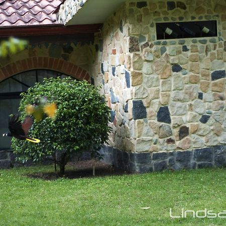 Gingerbread Restaurant & Hotel Nuevo Arenal Ngoại thất bức ảnh