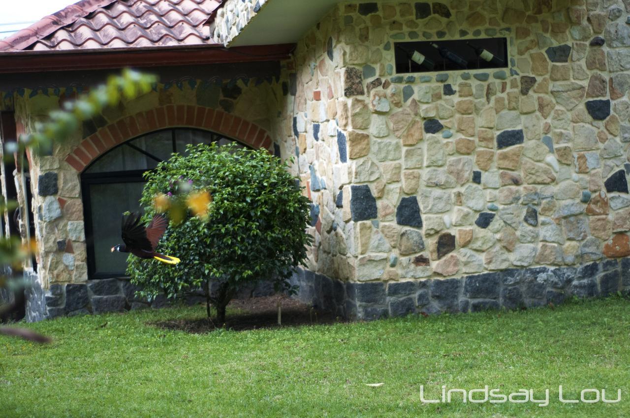 Gingerbread Restaurant & Hotel Nuevo Arenal Ngoại thất bức ảnh
